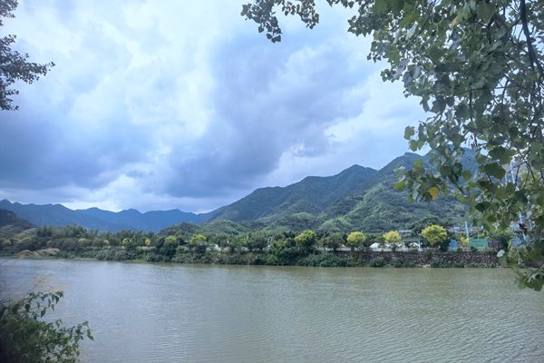 中建八局中标佛山市顺德区容桂水系水环境综合治理工程—水质净化厂建设工程